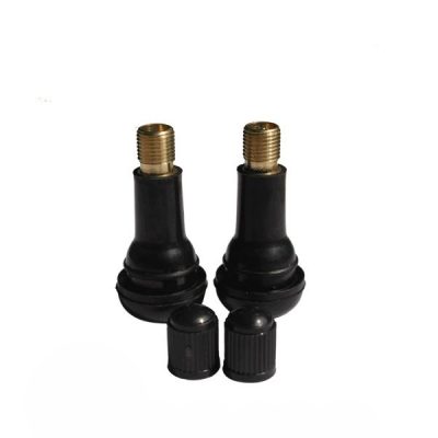 Snap-in Tubeless Valves for Passenger Car & Light Truck